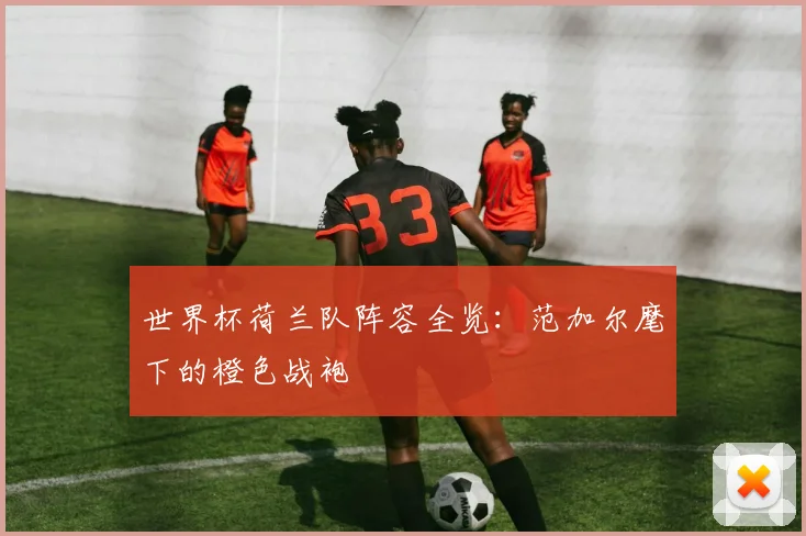 世界杯荷兰队阵容全览:范加尔麾下的橙色战袍