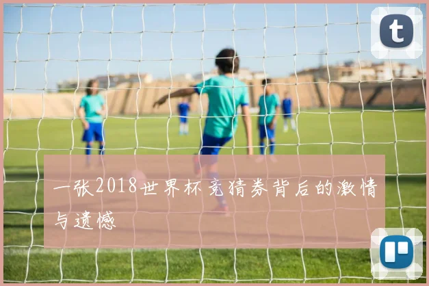 一张2018世界杯竞猜券背后的激情与遗憾