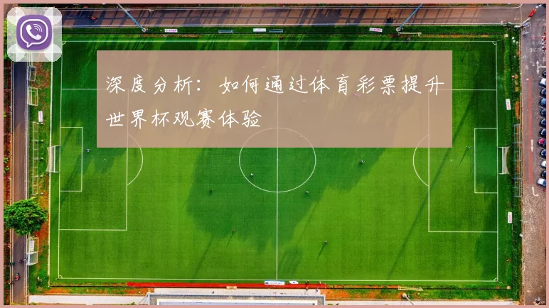 深度分析：如何通过体育彩票提升世界杯观赛体验