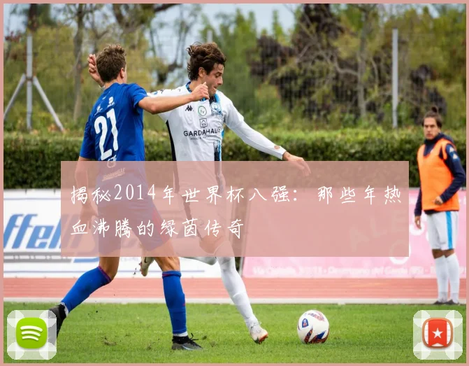 揭秘2014年世界杯八强：那些年热血沸腾的绿茵传奇