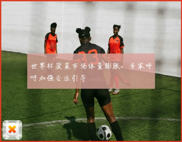 世界杯菠菜市场体量膨胀，专家呼吁加强合法引导