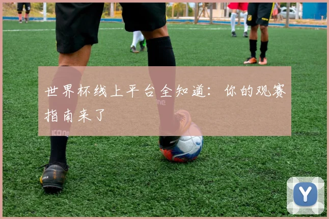 世界杯线上平台全知道：你的观赛指南来了
