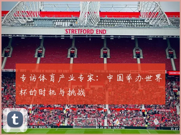 专访体育产业专家：中国举办世界杯的时机与挑战