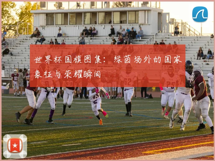 世界杯国旗图集:绿茵场外的国家象征与荣耀瞬间