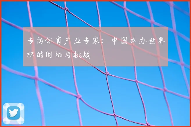 专访体育产业专家：中国举办世界杯的时机与挑战