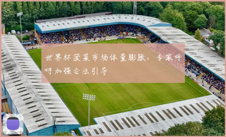 世界杯菠菜市场体量膨胀,专家呼吁加强合法引导