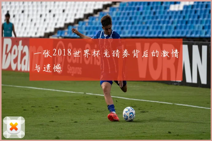 一张2018世界杯竞猜券背后的激情与遗憾