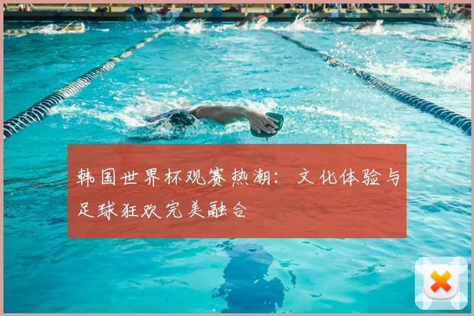 韩国世界杯观赛热潮：文化体验与足球狂欢完美融合
