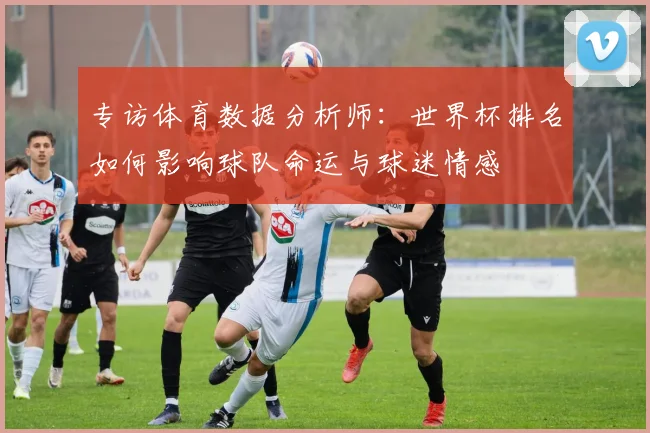 专访体育数据分析师:世界杯排名如何影响球队命运与球迷情感